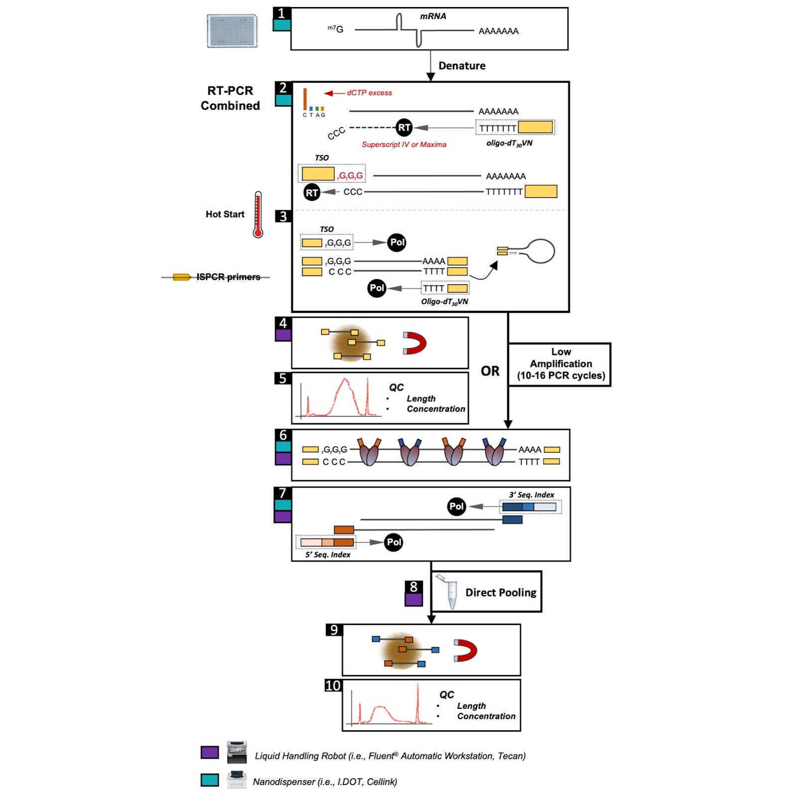 FLASHseq protocol