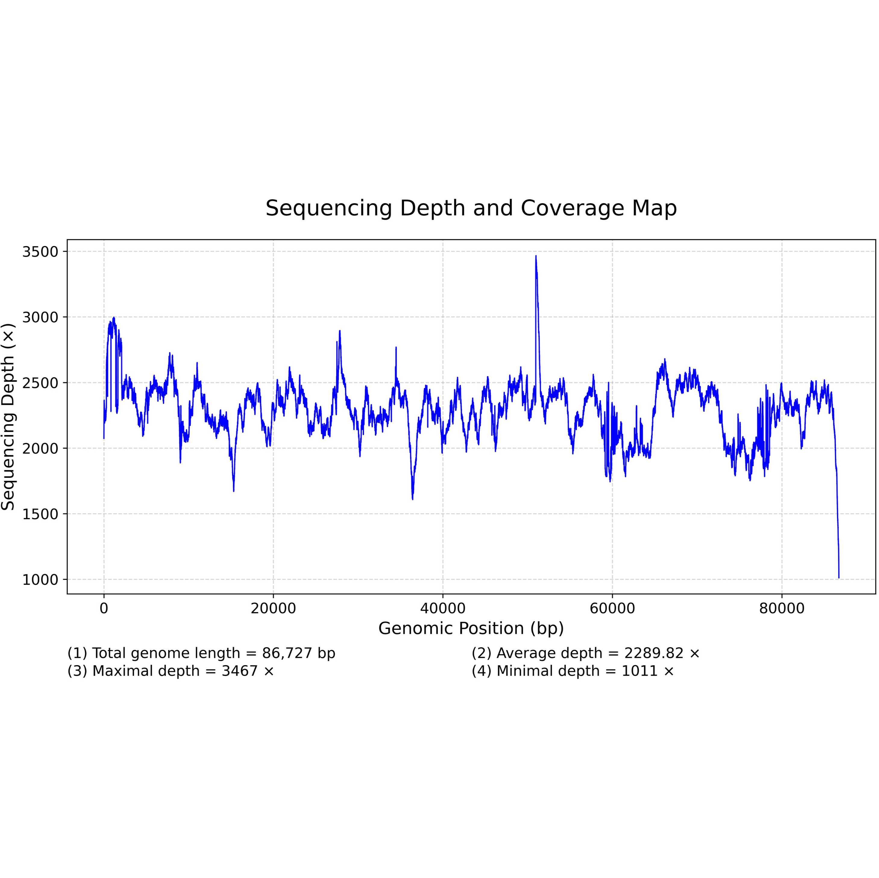 Generating Sequencing Depth and Coverage Map for Organelle Genomes