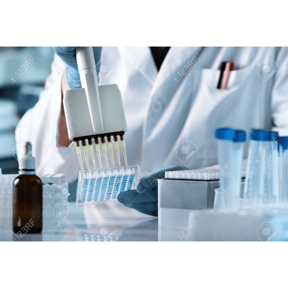 Illumina DNA Prep (M) Tagmentation Library Preparation for use on an