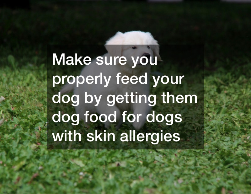 Ten Steps to a Healthier Dog World Newsstand