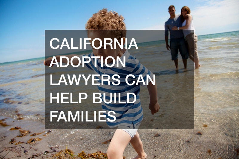California Adoption Lawyers Can Help Build Families Legal Business News
