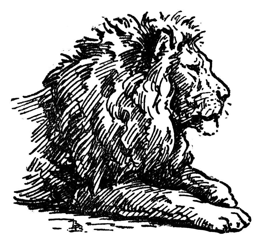 I must a lionhearted girl / Ready for a fight