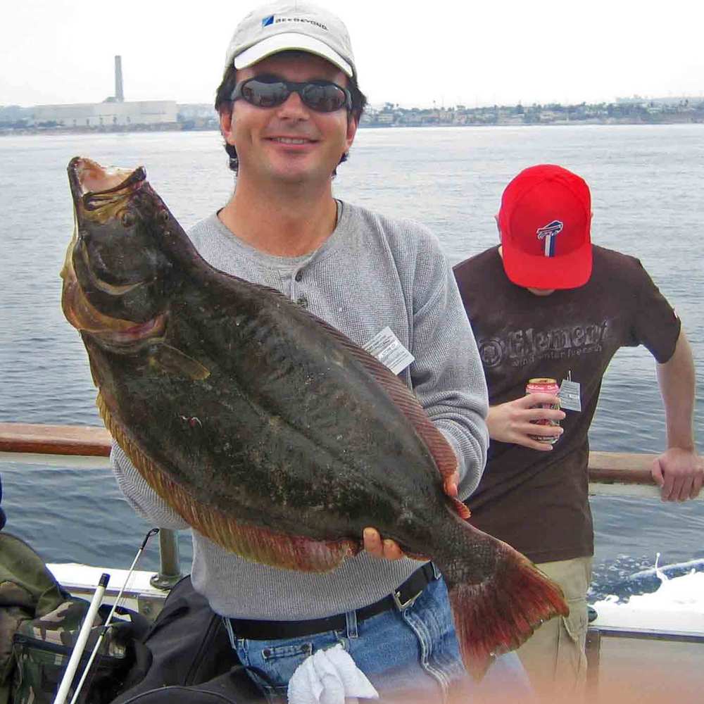 Top 103+ Pictures Pictures Of A Halibut Fish Stunning 10/2023