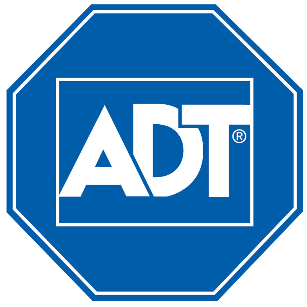 ADT's ain't stop me, Chinese New Year Lyrics Meaning