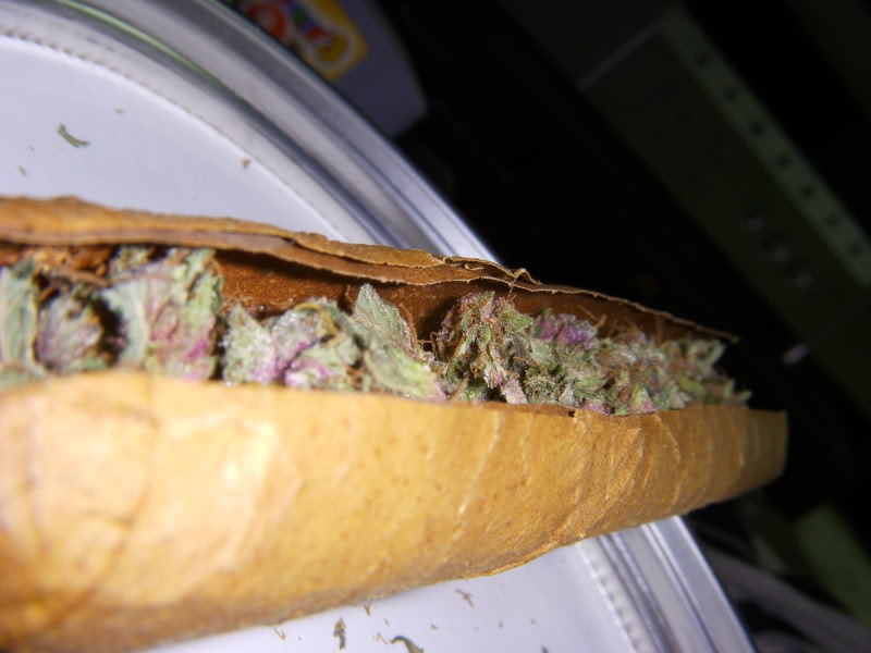 Slice a sweet swisher, put my medicine in there Take Dis