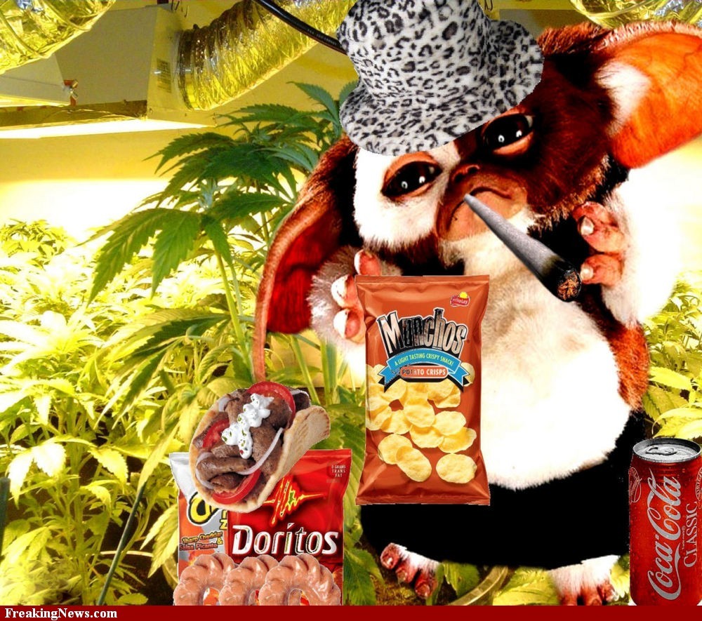 Your eyes red, you got the munchies Hoody Hoo Lyrics Meaning