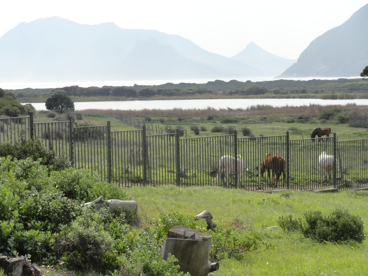 Vacant land for sale in Bluewater Estate