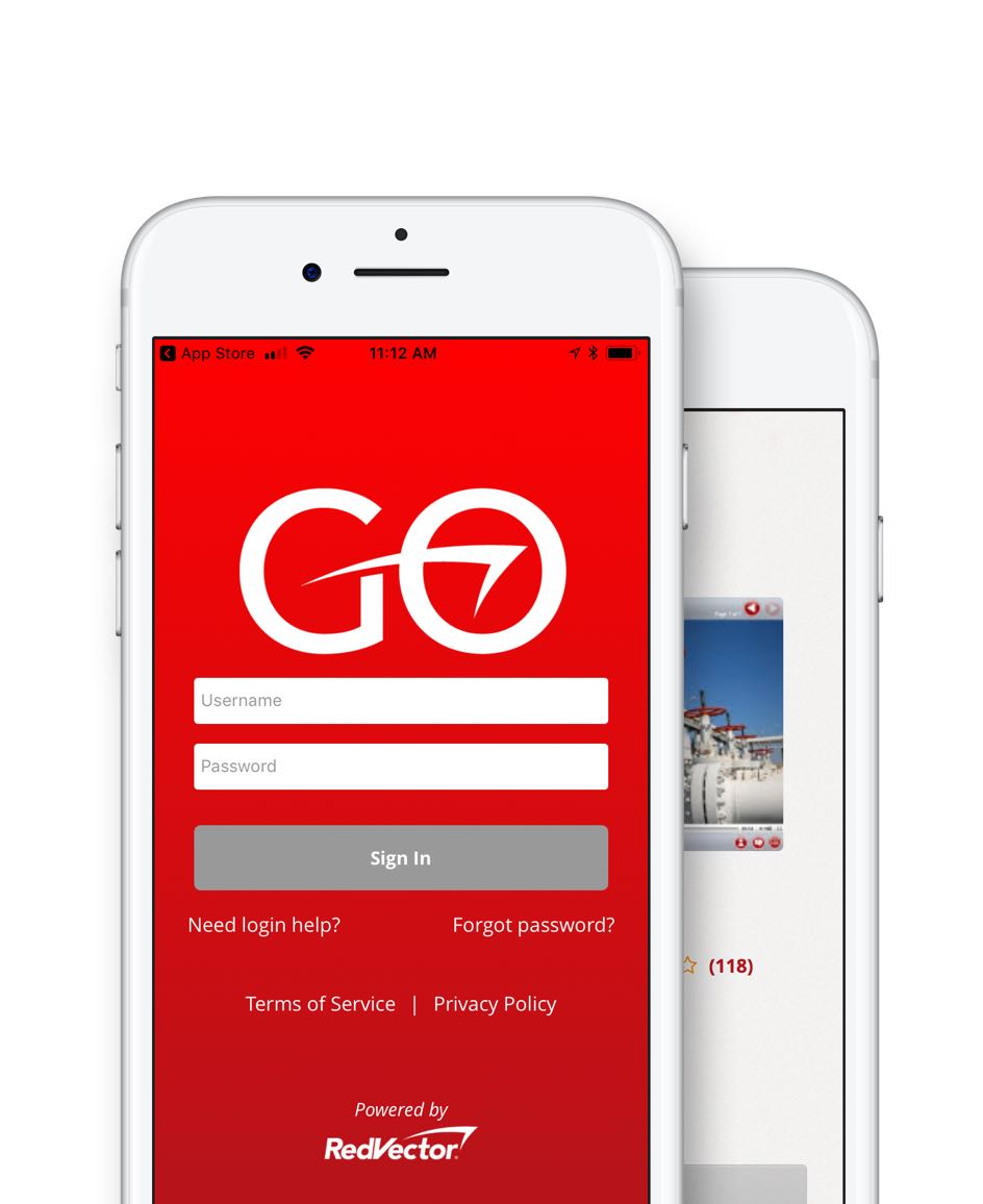 RedVector Subscriptions