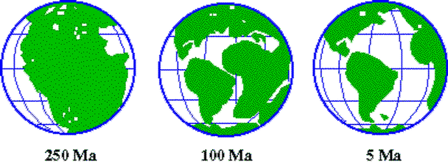 History of the Earth timeline Timetoast timelines