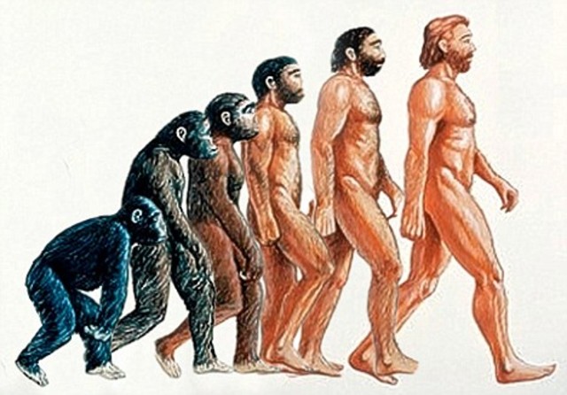 Evolution of Homo Sapien Please DO NOT PAY ATTENTION to the months