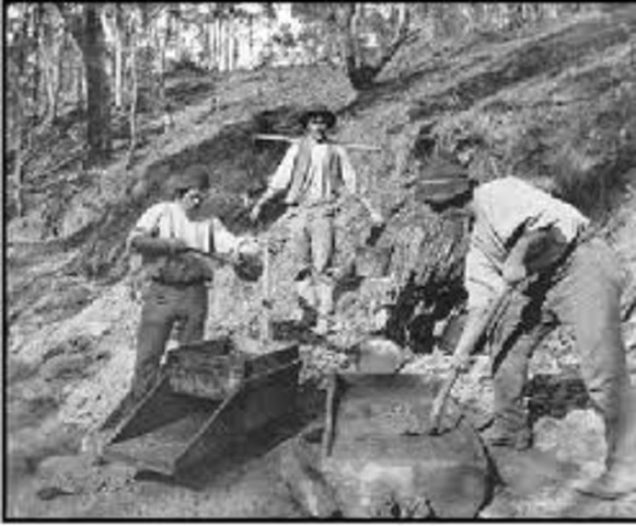 Chinese history of Australia. timeline Timetoast timelines