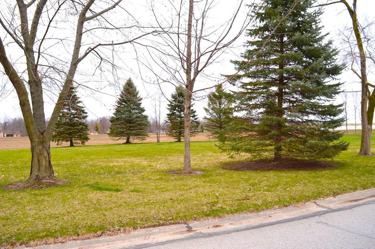 Buildable Lot in Grabill Indiana Scheerer McCulloch Indiana Auctions, Real Estate, Senior