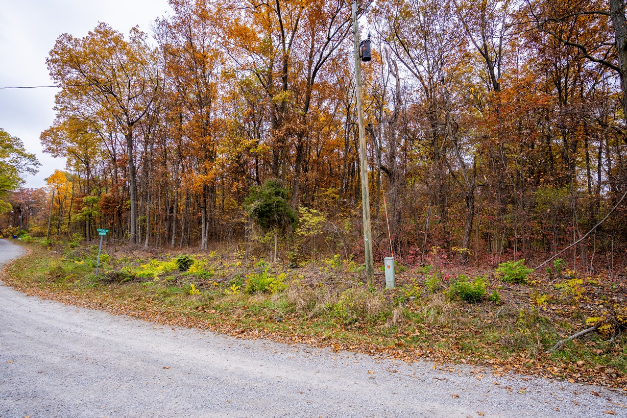 Land Auction Near Lake Everett Scheerer McCulloch Indiana Auctions, Real Estate, Senior