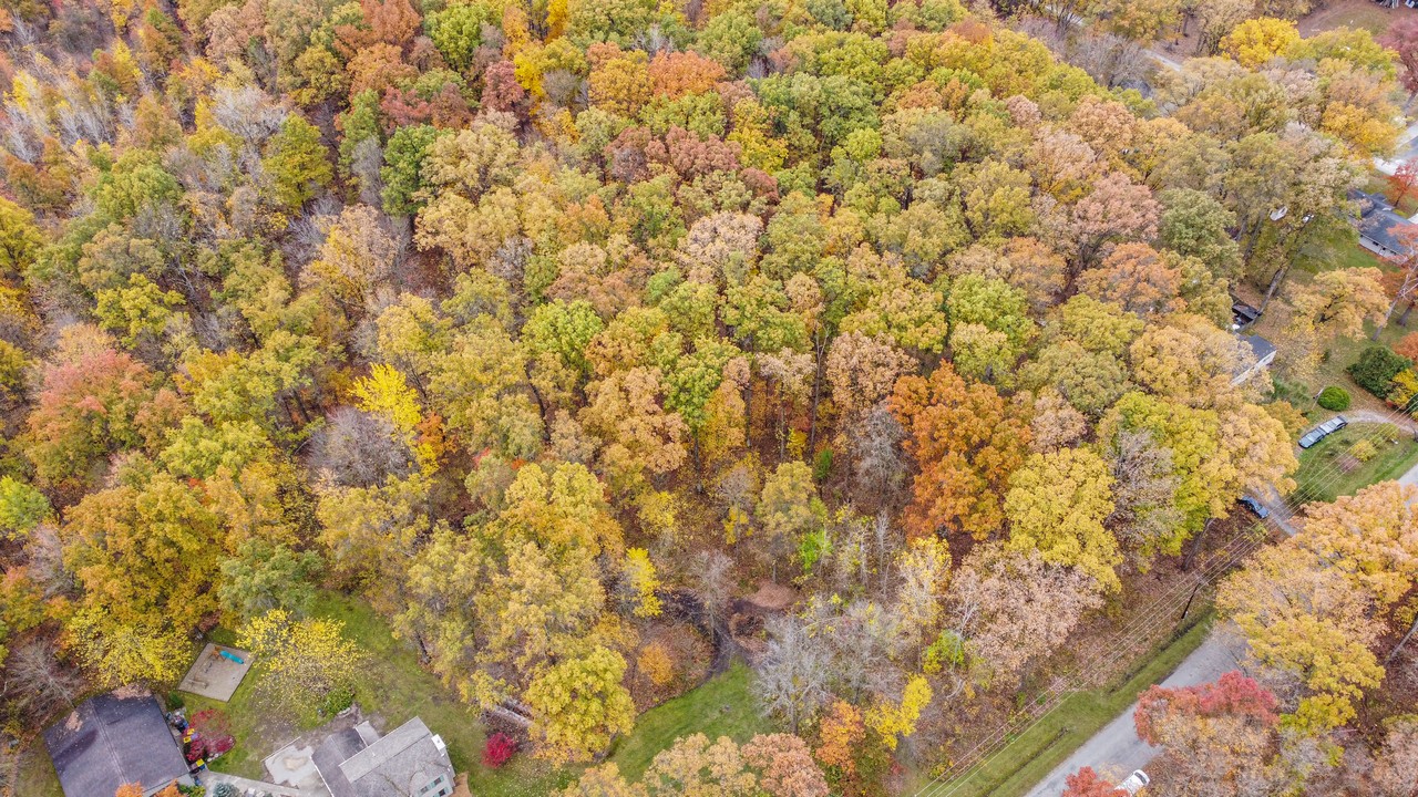 Land Auction Near Lake Everett Scheerer McCulloch Indiana Auctions, Real Estate, Senior