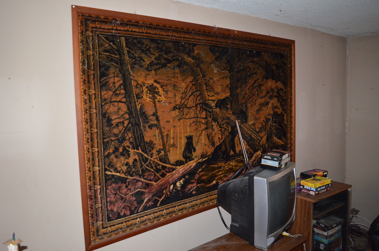 2 lakefront Investment homes with garages & 2 adjacent lots located on Lake Everett. Scheerer