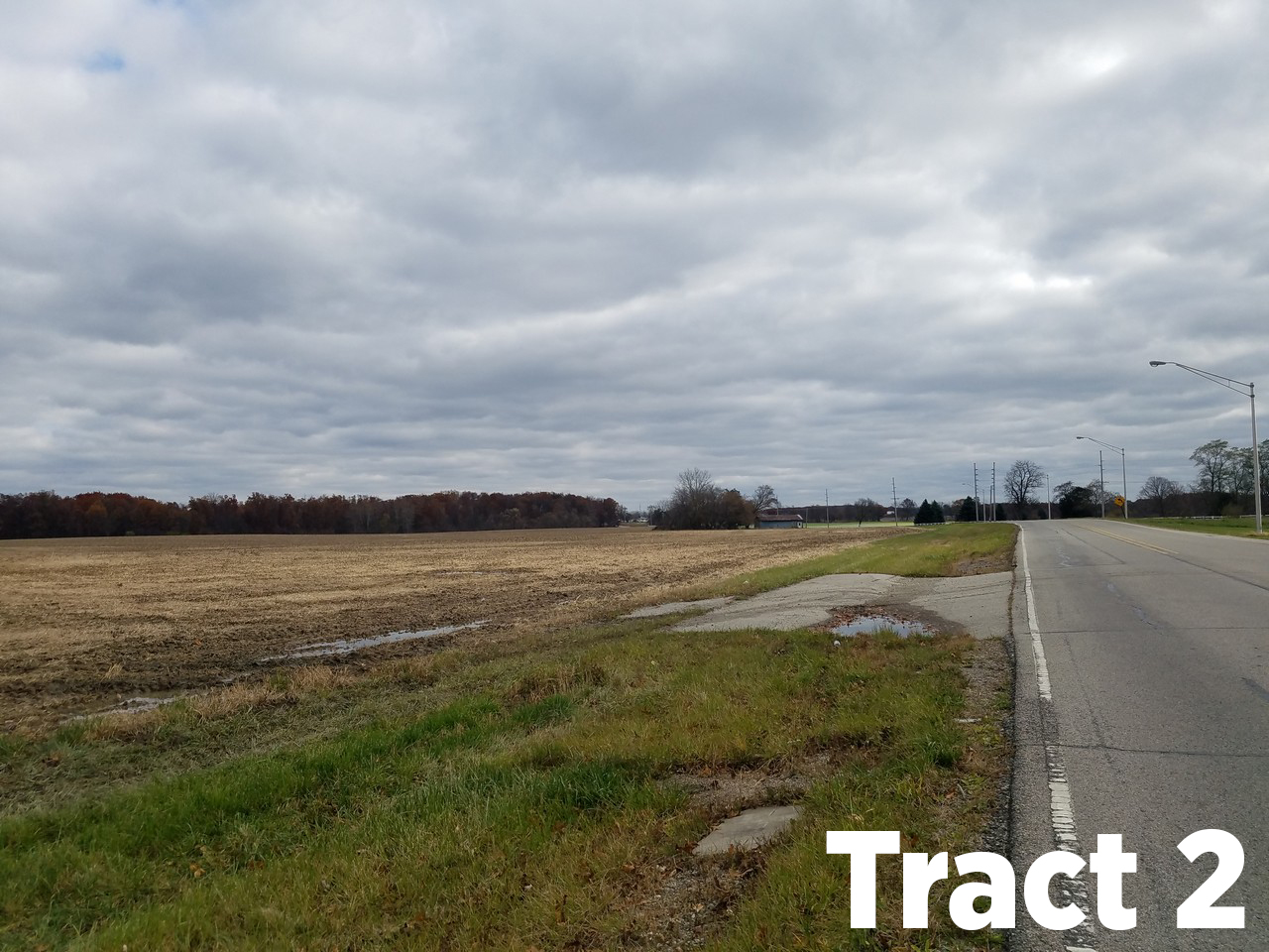75 acres for auction in Fremont Indiana Scheerer McCulloch Indiana