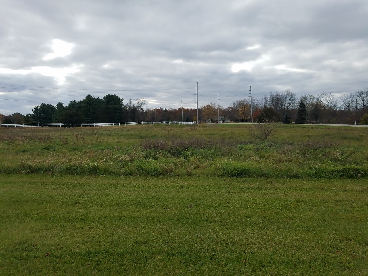 75 acres for auction in Fremont Indiana Scheerer McCulloch Indiana