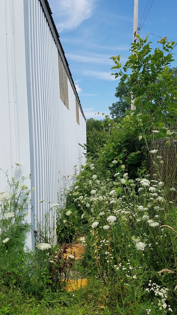 Pole building sitting on city lot over 1 acre off Wayne Trace