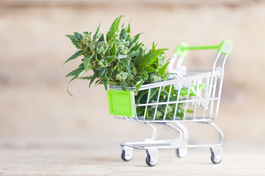 This Is How to Start a CBD Business Right Now GreenState GreenState