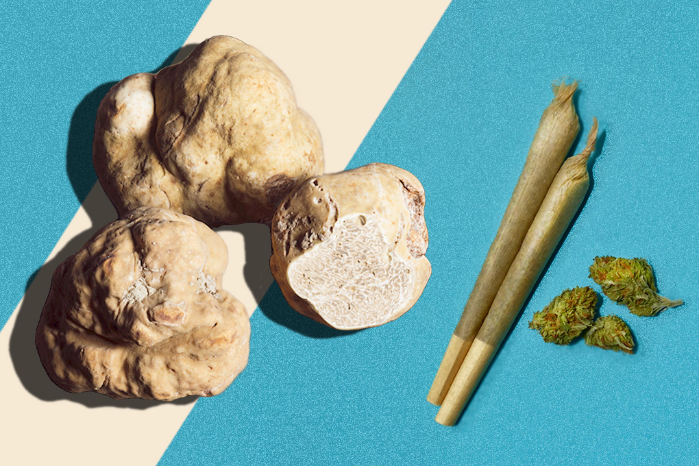 White Truffle strain review a smooth and savory indica variety(04)