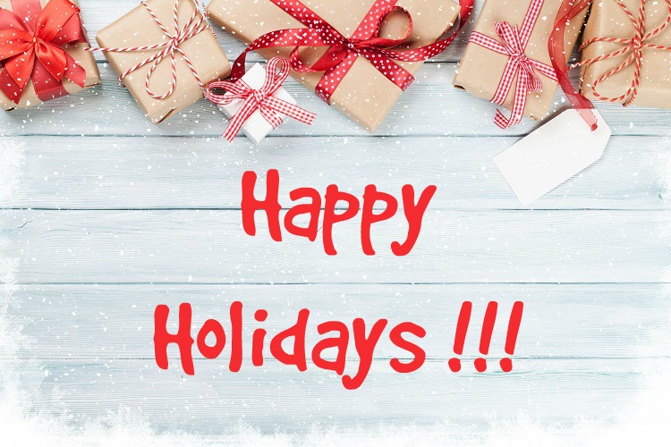 Jenny Wong CHRISTMAS IN LAS VEGAS CORNEL REALTY