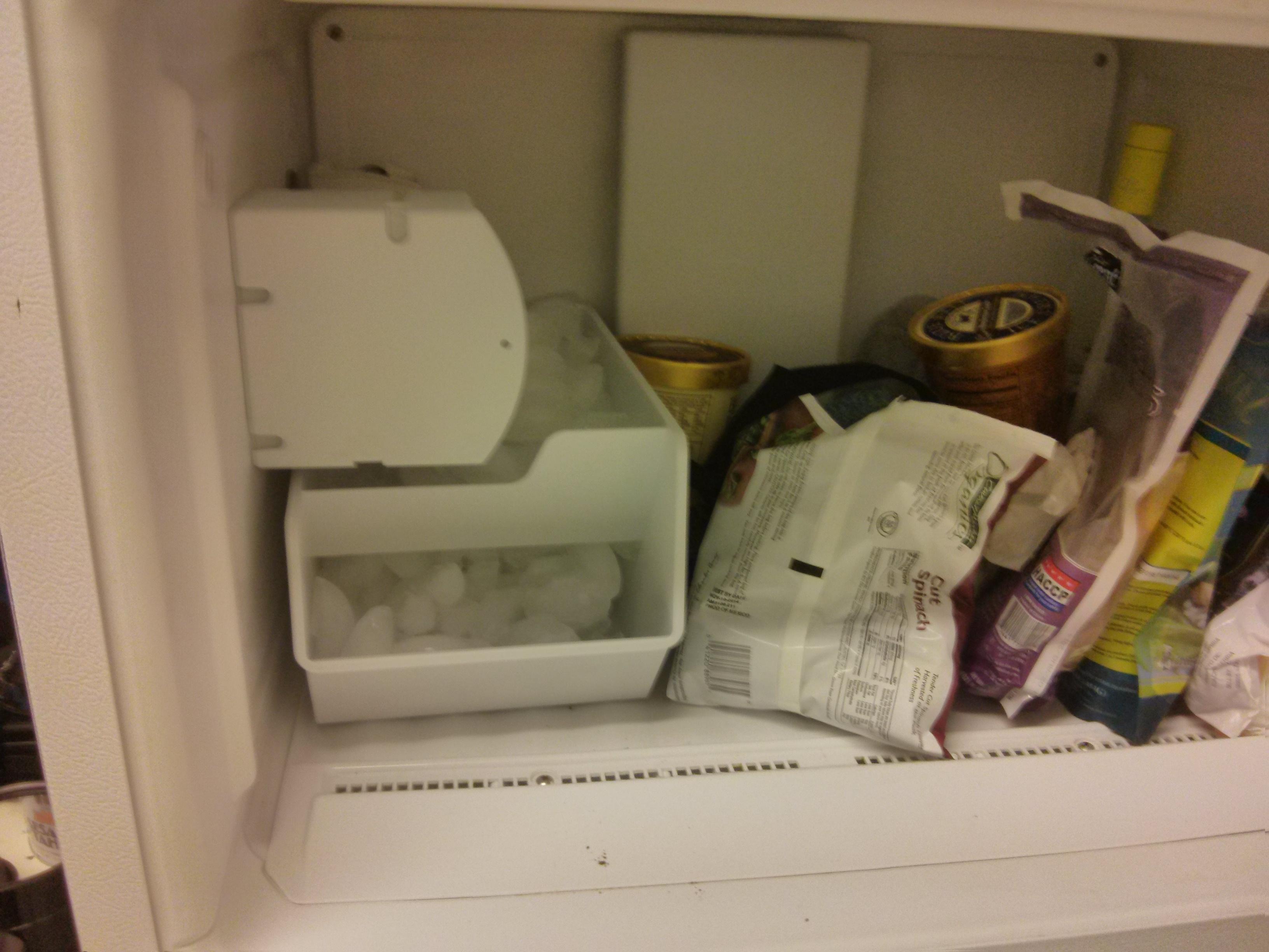 Turn Your Thumb Green Expert Concepts Behind Successful Plant Growing