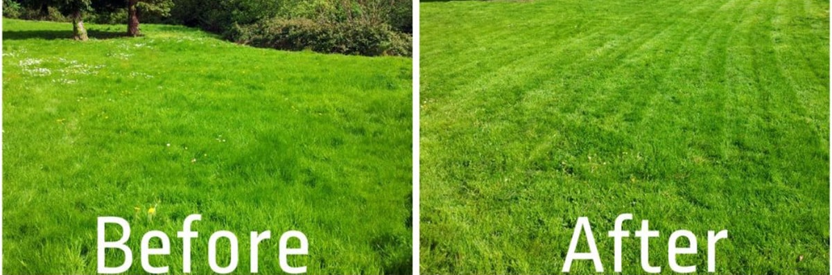Gallery AllAround Lawn Care and Pressure Washing LLC