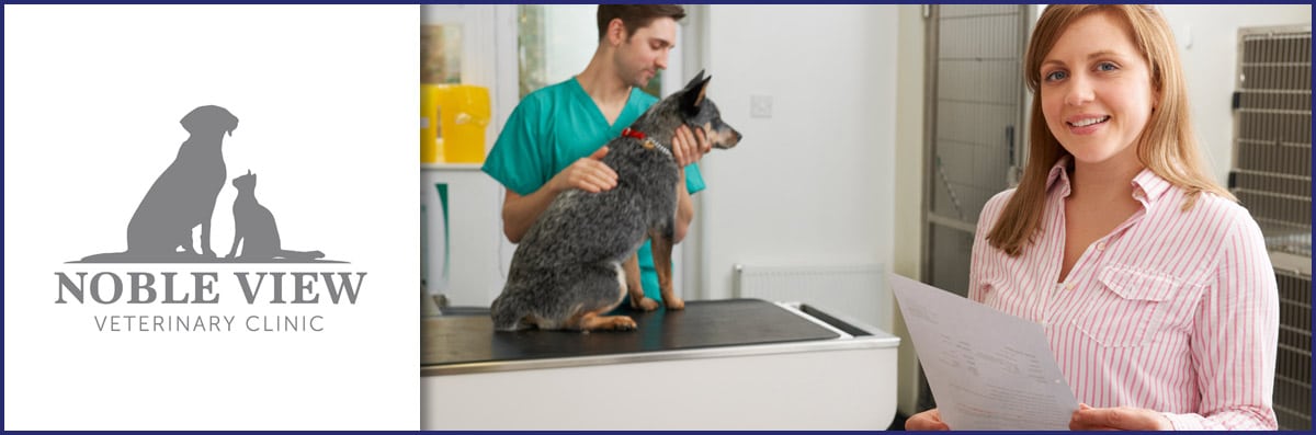 Noble View Veterinary Clinic Performs Animal Surgery in KY