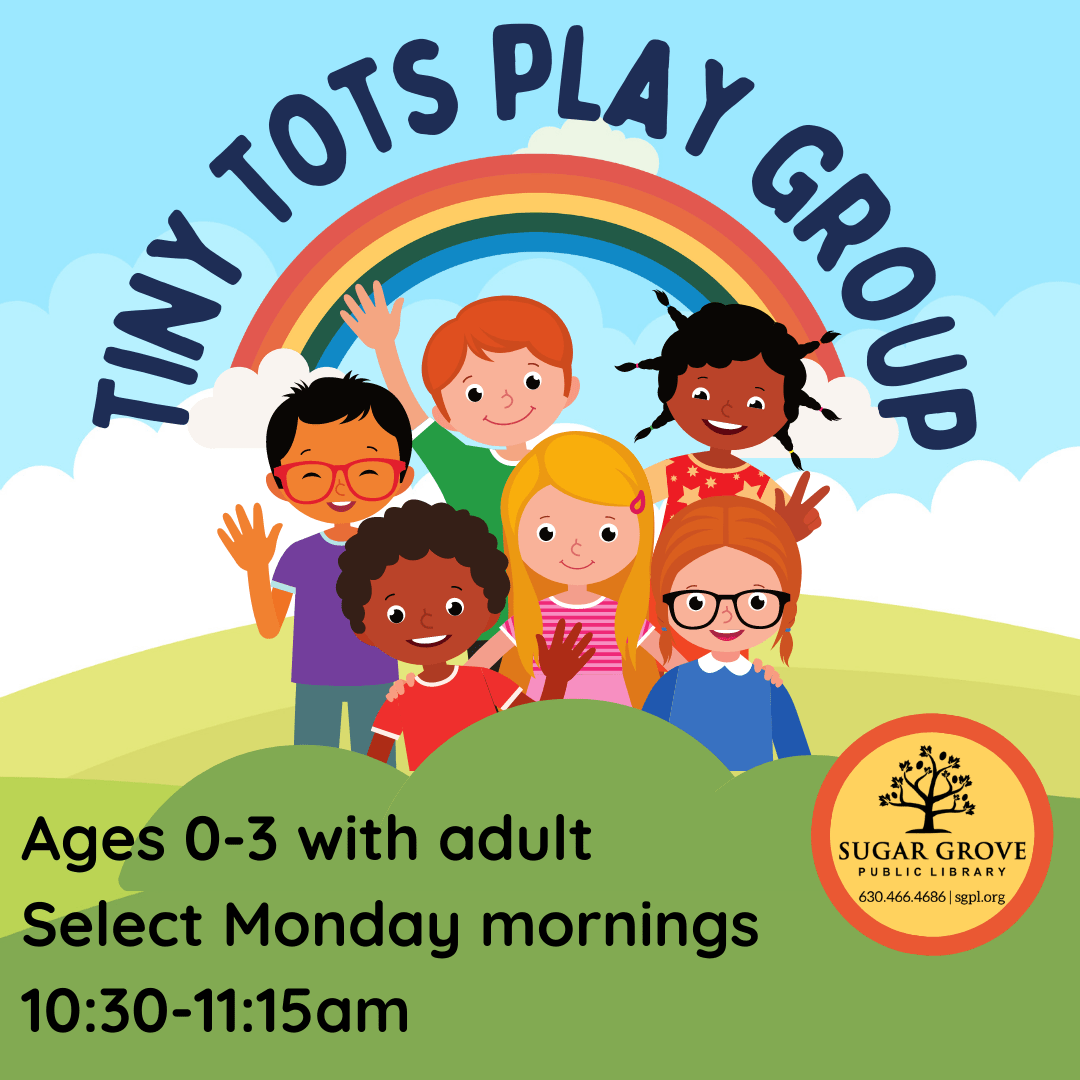 Tiny Tots Play Group Demco Software