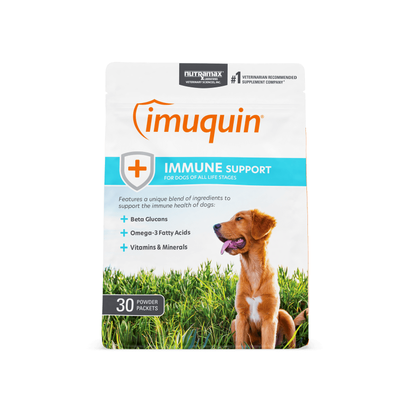 Immune Health Support for Dogs Imuquin®