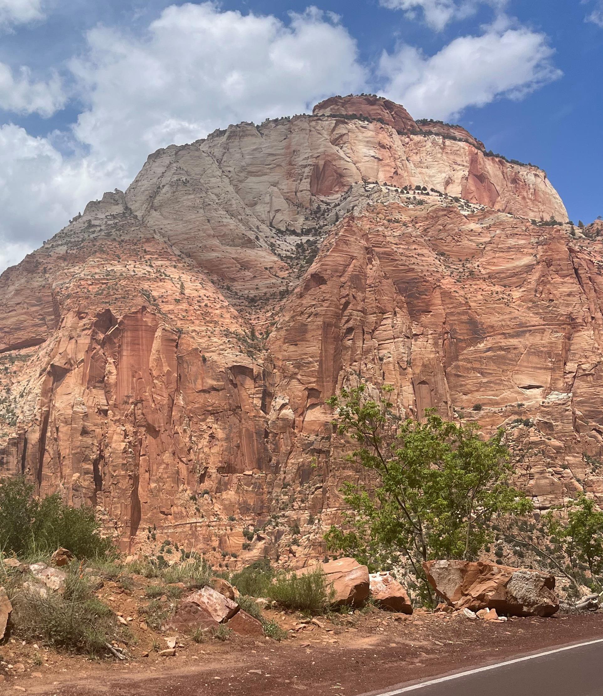 Real Estate Agent Ronnie Esparza McAllen, TX