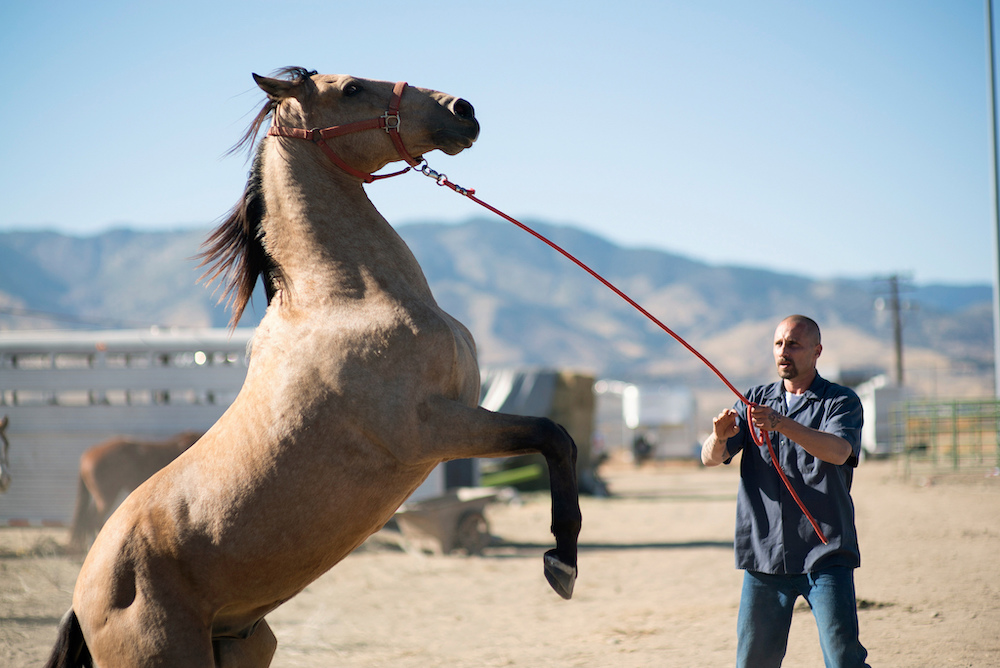Sundance 2019 Laure de ClermontTonnerre on The Mustang