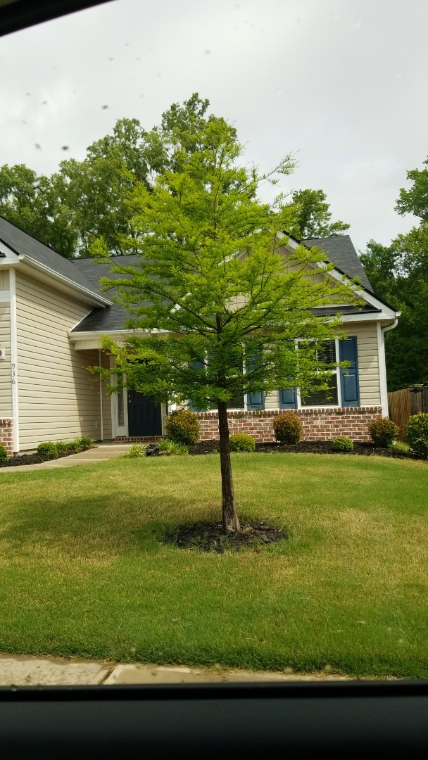 Quinn Pest Control Milledgeville Sellers Construction Home