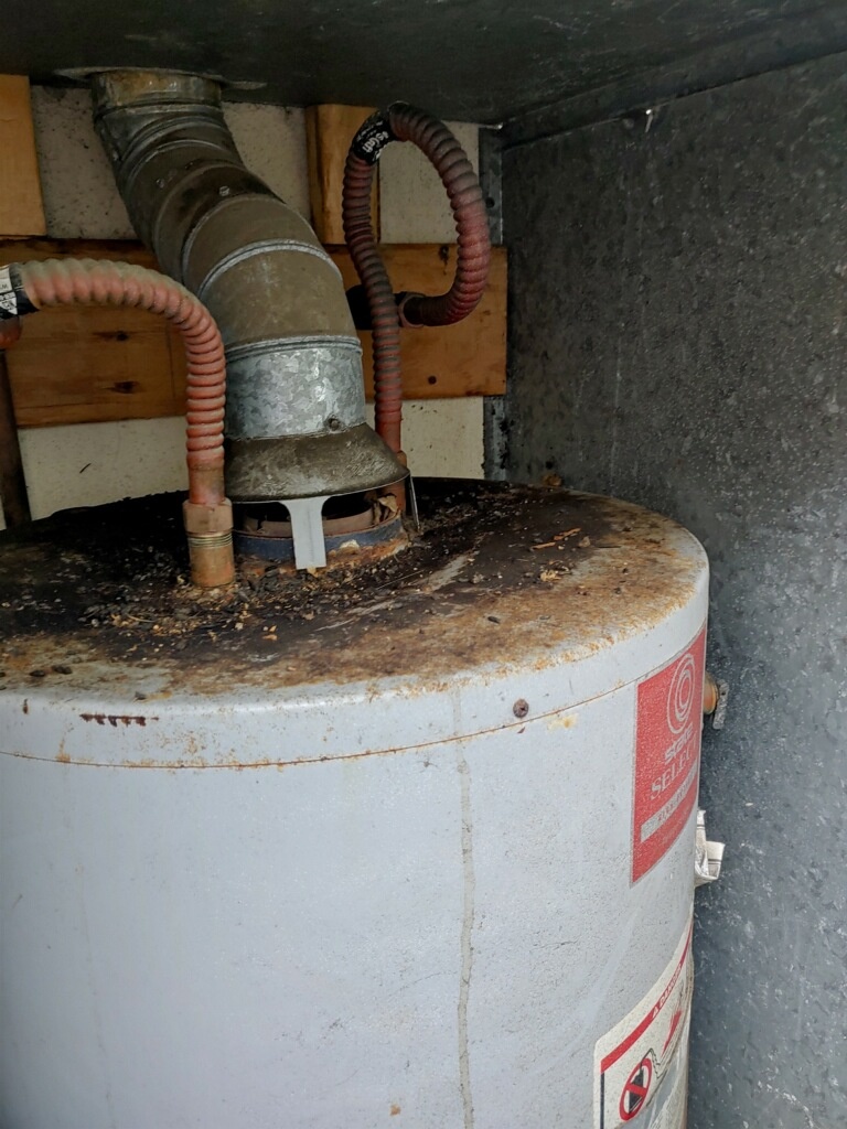 Plumber Redondo Beach Mike Diamond