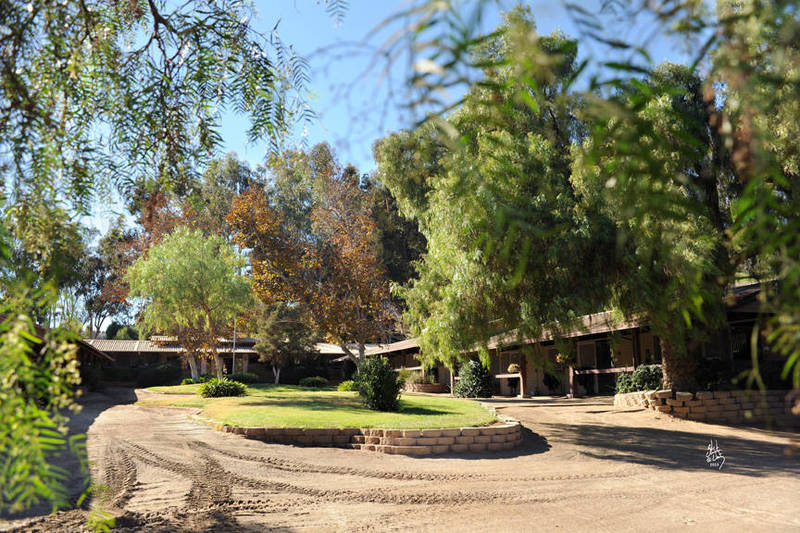 San Marcos, California Stachowski Farm, Inc. Arabian Horse Show