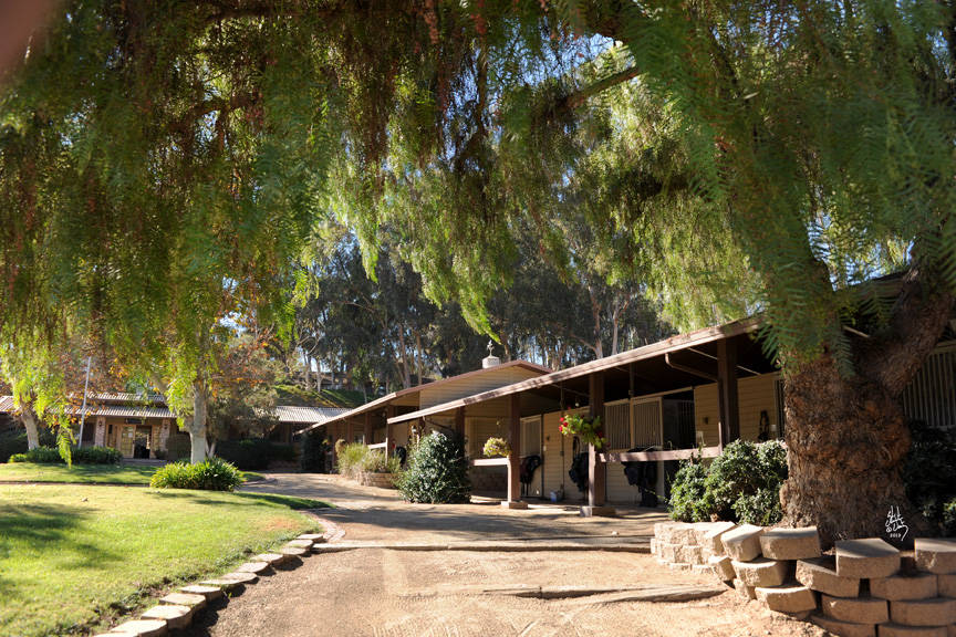 San Marcos, California Stachowski Farm, Inc. Arabian Horse Show