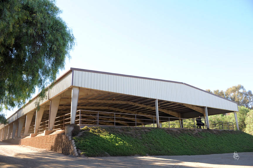 San Marcos, California Stachowski Farm, Inc. Arabian Horse Show