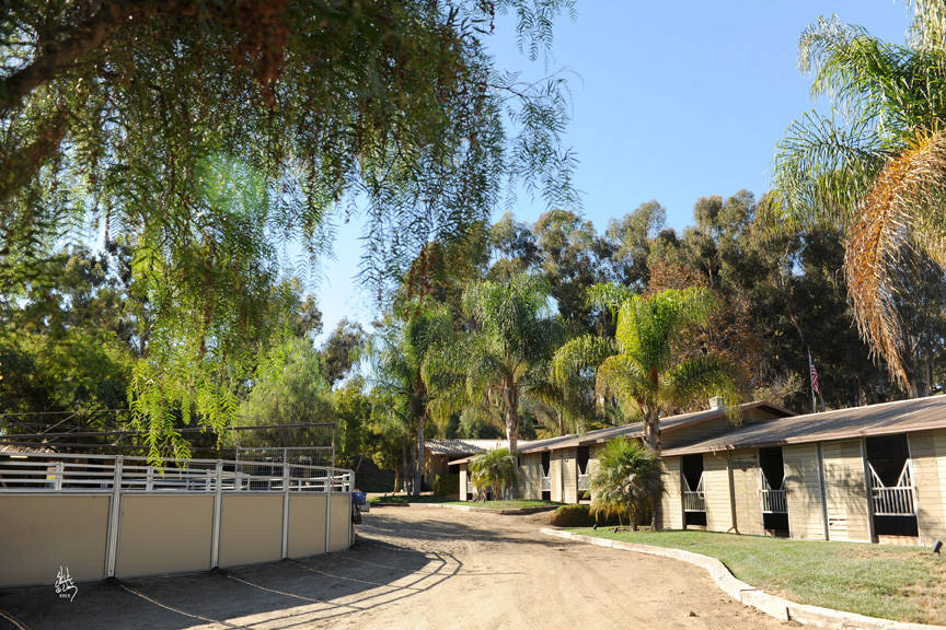 San Marcos, California Stachowski Farm, Inc. Arabian Horse Show