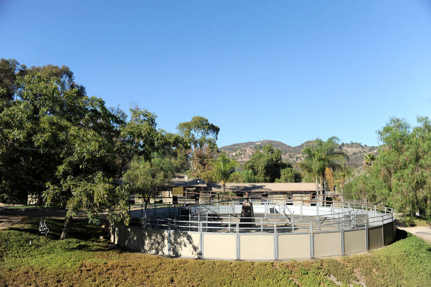 San Marcos, California Stachowski Farm, Inc. Arabian Horse Show