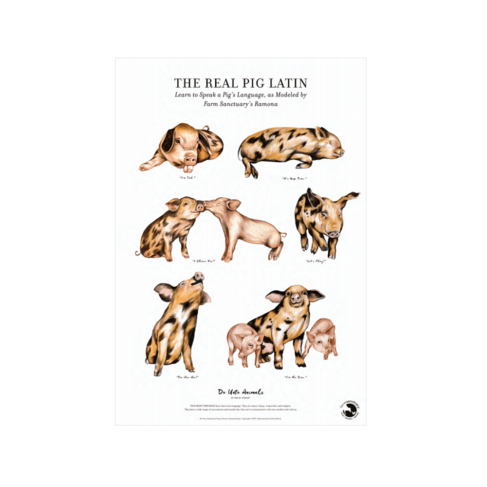 The Real Pig Latin Print 200323 Farm Sanctuary