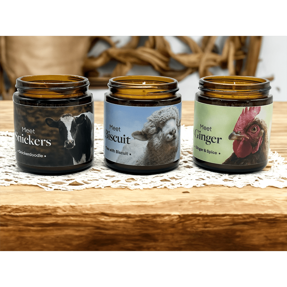 Ginger & Spice Candle 200740 Farm Sanctuary