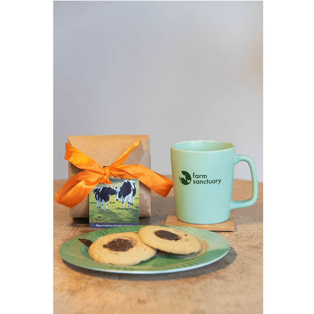 Vegan Chocolate Kiss Cookies 200773 Farm Sanctuary