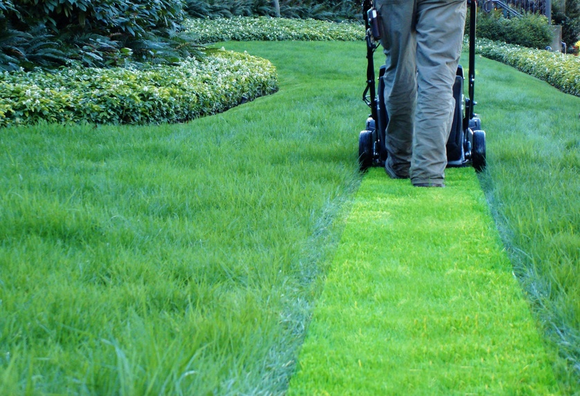 A Few Good Reasons to Always Take Good Care of Your Lawn Top Social Sites