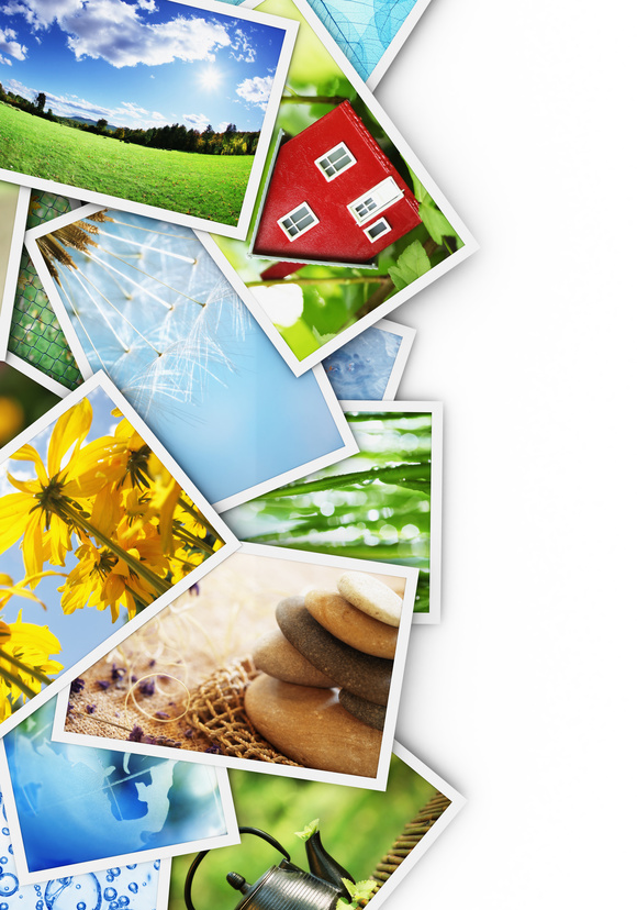 My Adirondack Rentals Four Interesting Facts About An Adirondack Rental