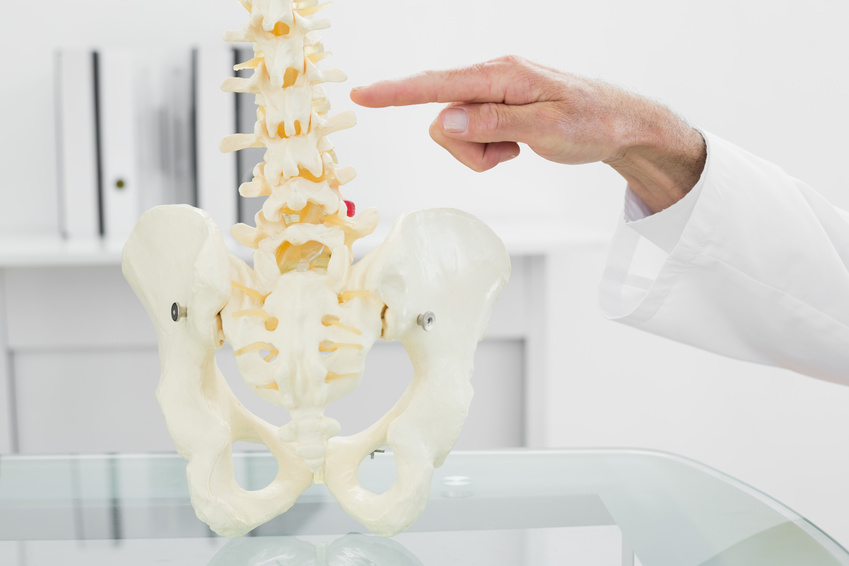 What's the Difference Between Spinal Fusion and Disc Replacement