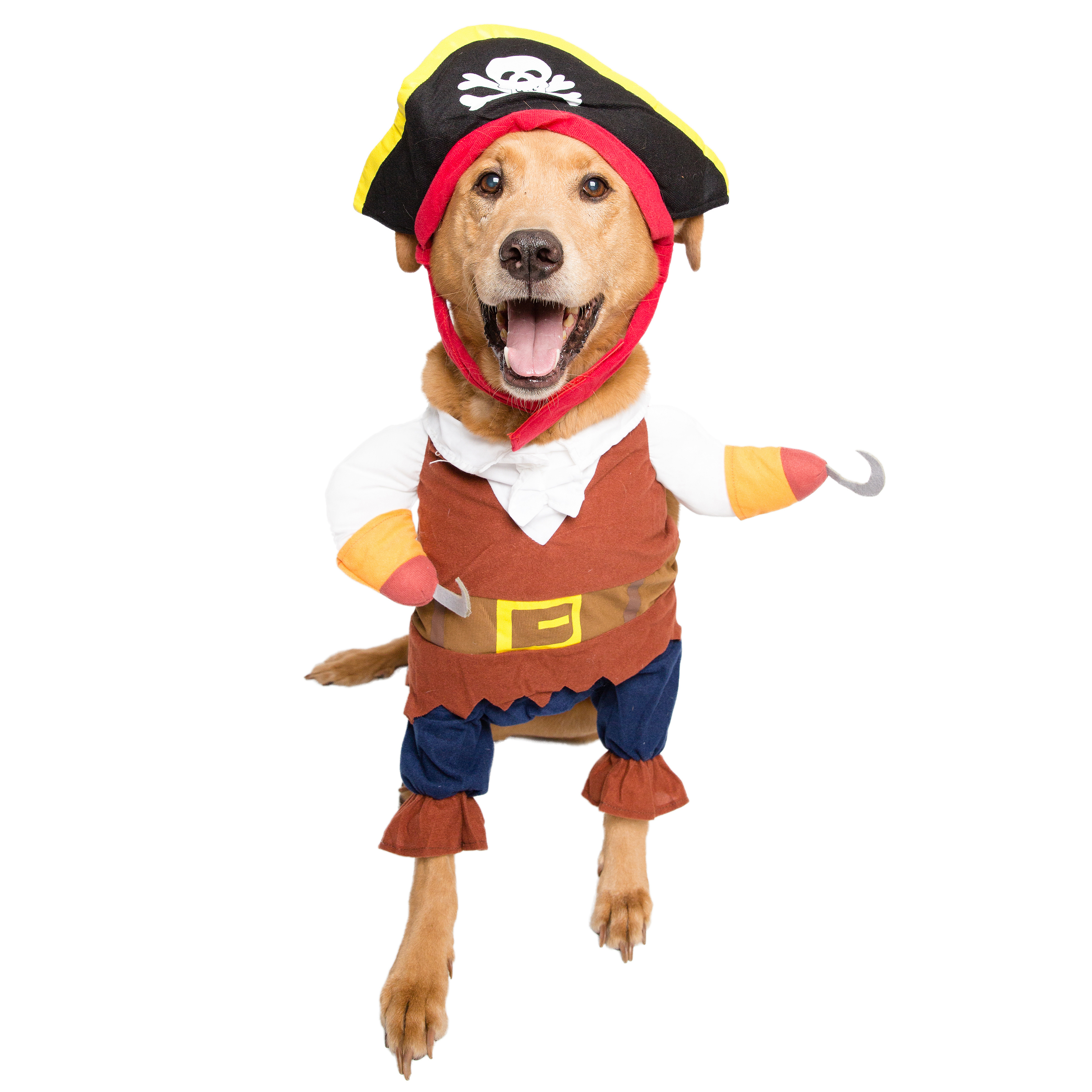Pirate Dog Costume by Pet Krewe Tanga