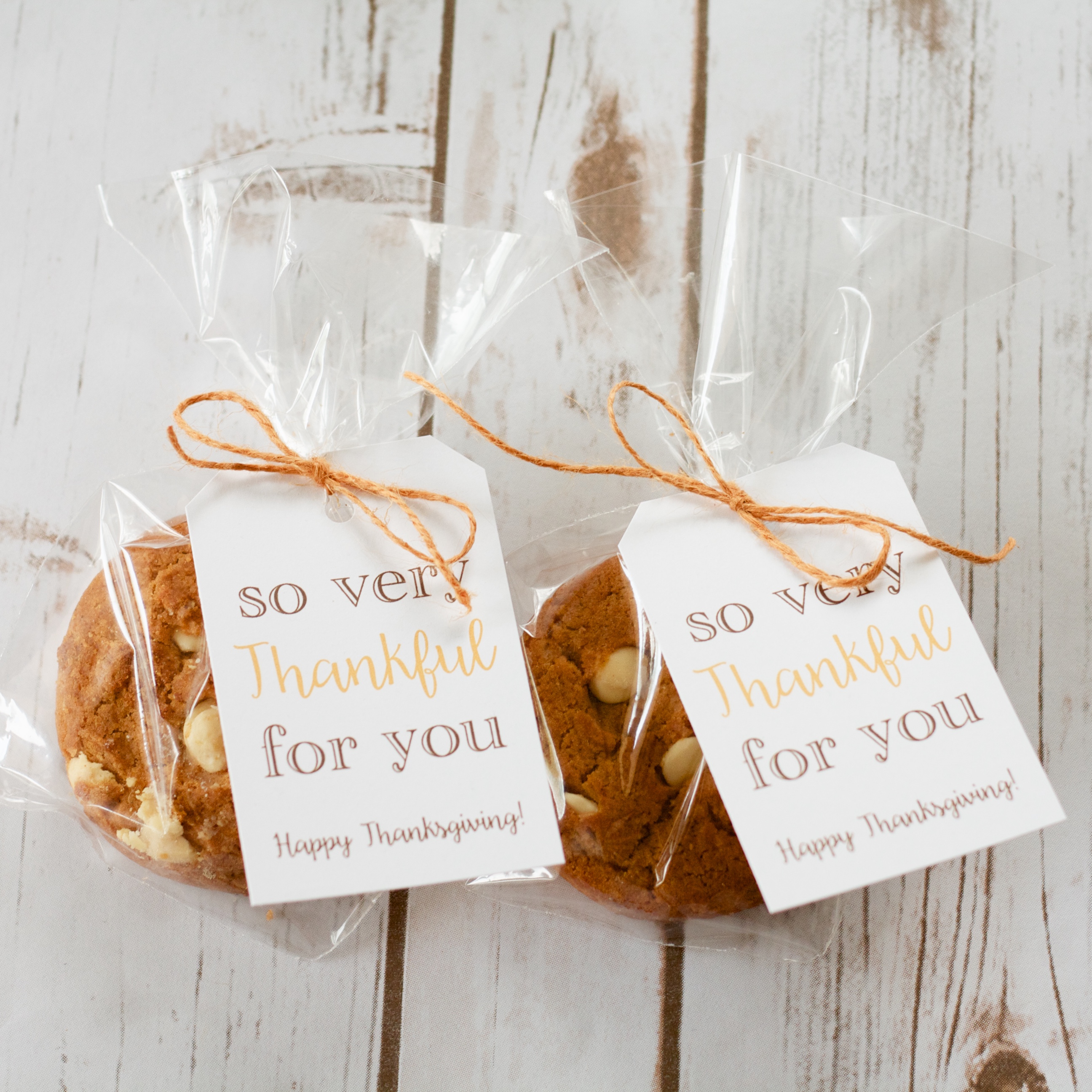 So Very Thankful for You Gift Tag Printable BelleChic
