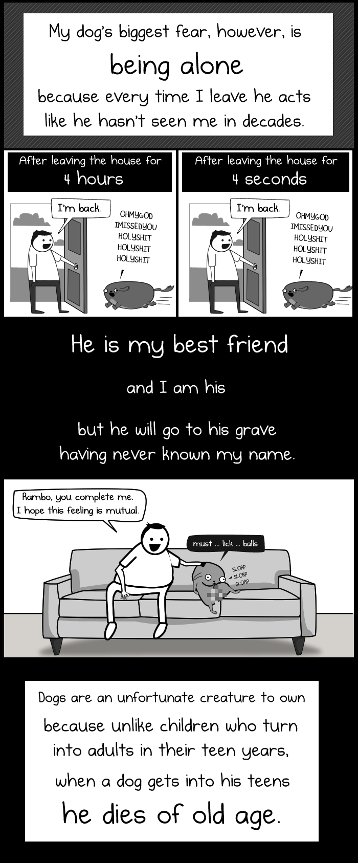 My Dog The Paradox The Oatmeal