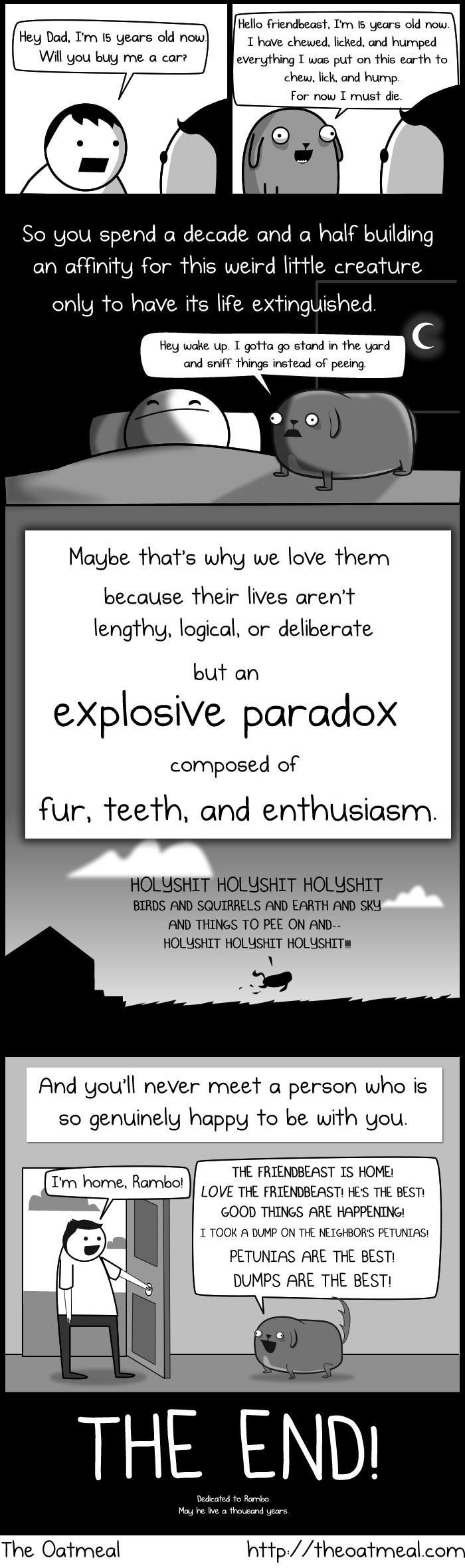 My Dog The Paradox The Oatmeal