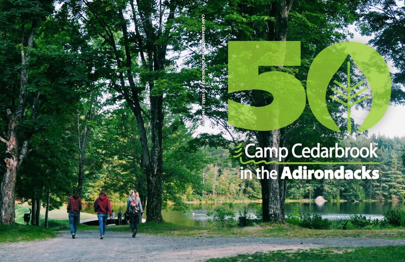 TreeRing Create Personalized Yearbooks